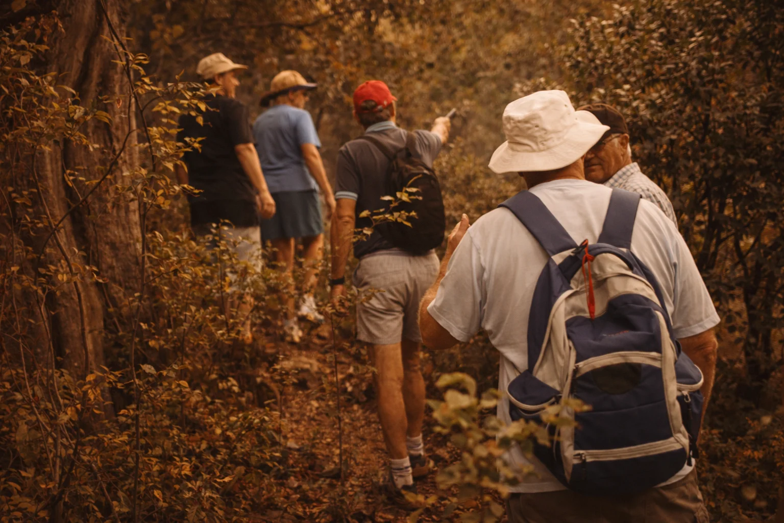 Small group of hikers climbing a bushveld path in warm afternoon light, one gesturing towards a landmark ahead.